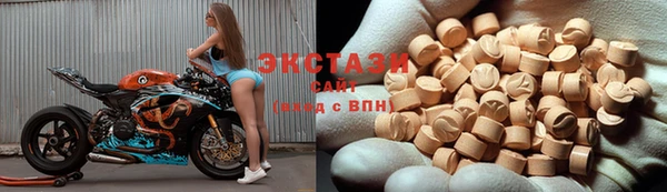 ECSTASY Бородино