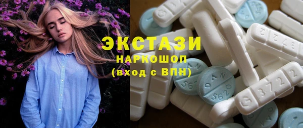 ECSTASY Бородино